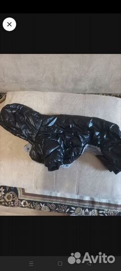 Дождевик для собак