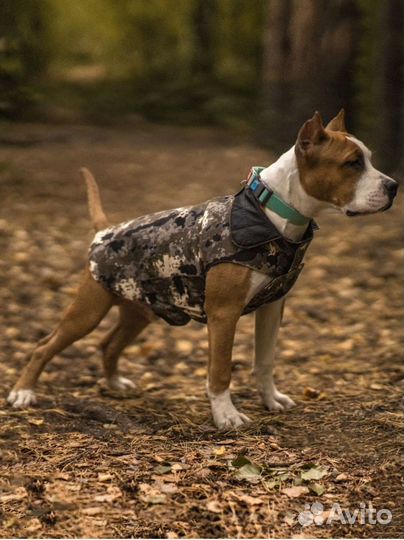 Попона для собак новая