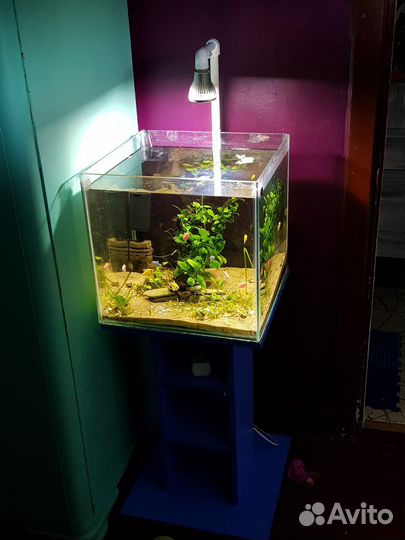 Аквариум