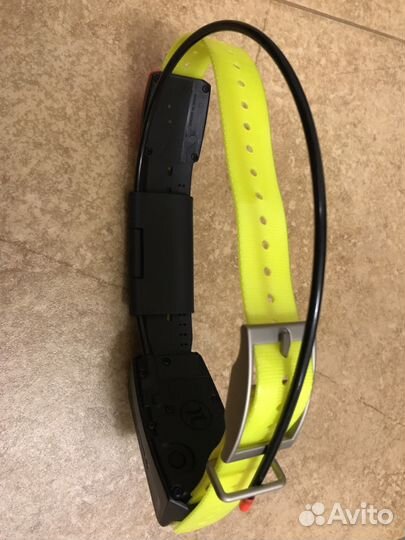 Ошейник Garmin Astro T5 RUS, без аксессуаров