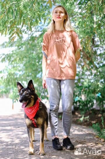 Ищем дом замечательной собаке