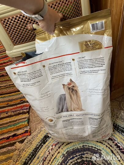 Суой корм Royal Canin для Йоркшерских терьеров