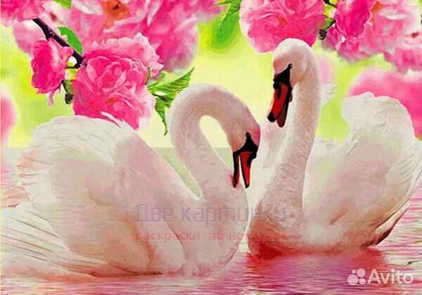 Алмазная мозаика 40x50 Два белых лебедя на озере п