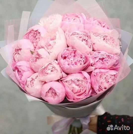 Пионы Букет пионов Доставка цветов