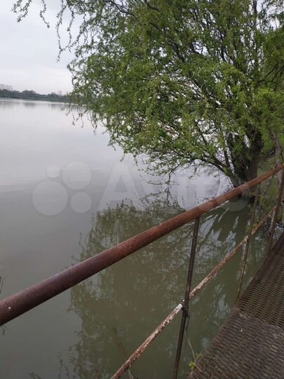 Участок 50 сот. (ИЖС)