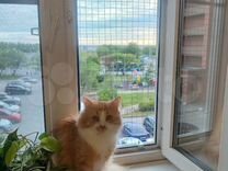 Решетка на окно для кошки (антикошка)