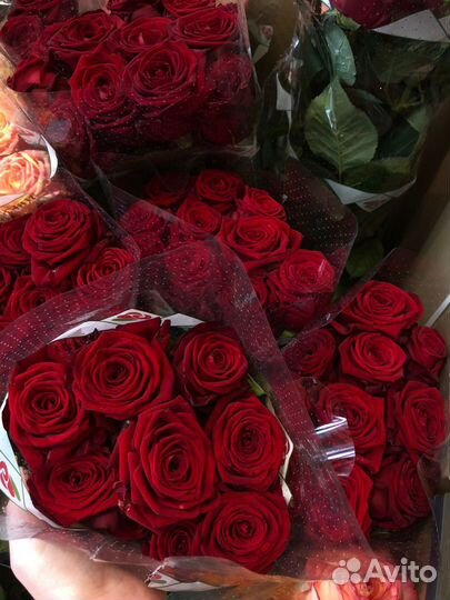 Розы премиум с крупным бутоном