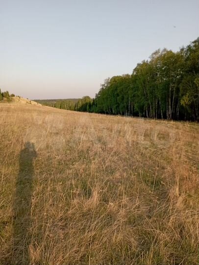 Участок 100 сот. (СНТ, ДНП)