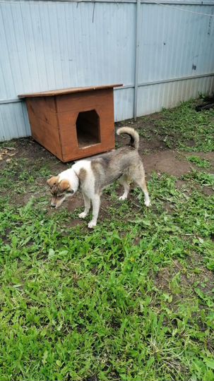 Дом 40 м² на участке 15 сот.