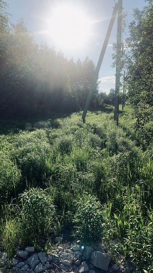 Участок 16,1 сот. (ИЖС)