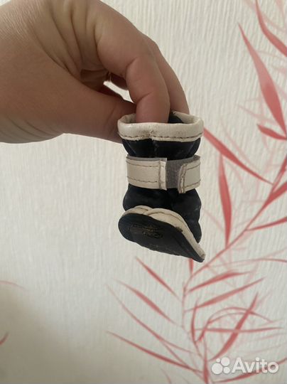 Обувь для маленьких собак