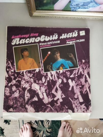 Виниловые пластинки ласковый май