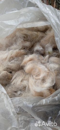 Собачья шерсть