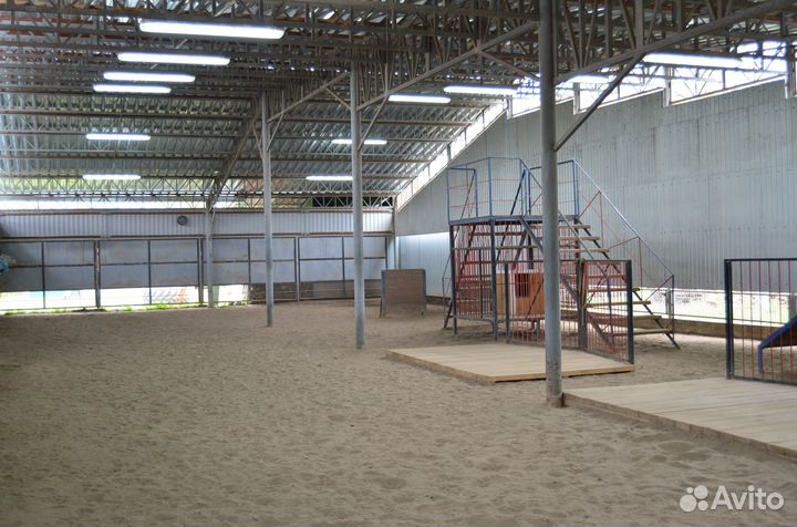 Дрессировка собак. Кинолог