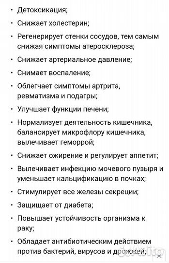 Чайный гриб