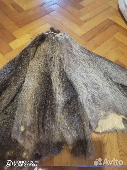 Шкурка животного