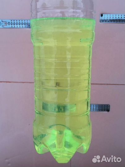 Евро 5 – высокие стандарты для вашего транспорта