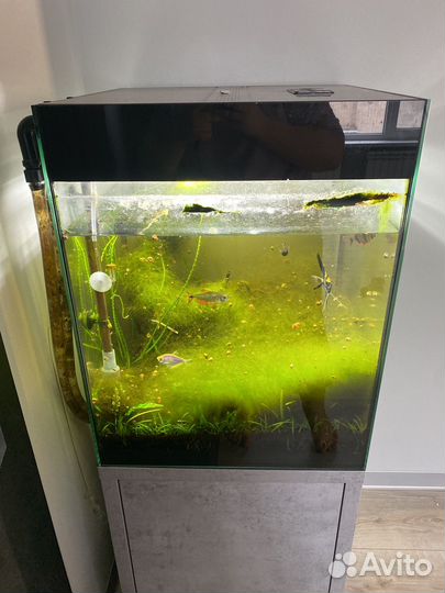 Аквариум с тумбой 180 л