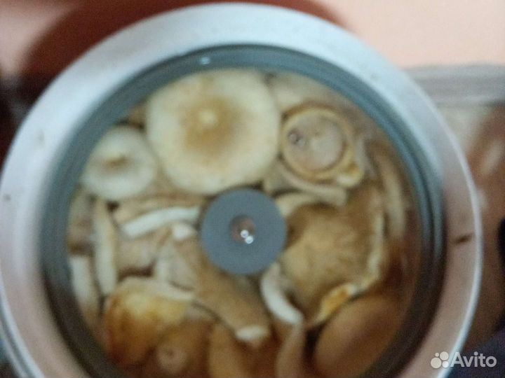 Грибы грузди соленые