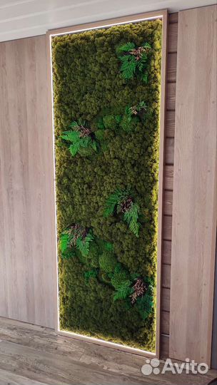 Озеленение стабилизированным мхом