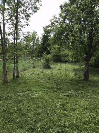 Участок 12,3 сот. (СНТ, ДНП)