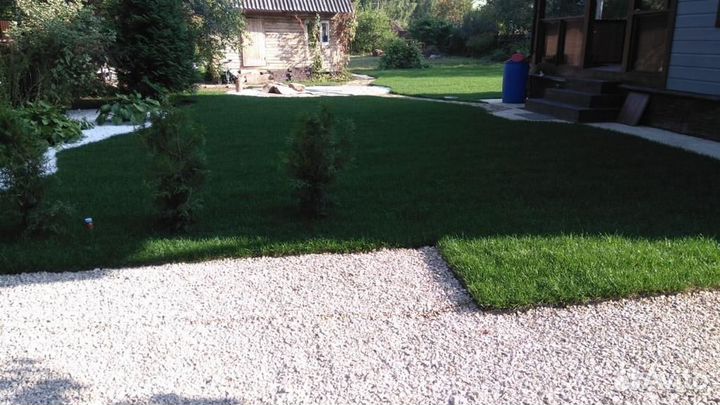 Рулонный газон с доставкой