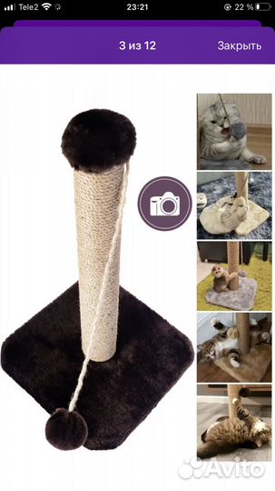 Когтеточка