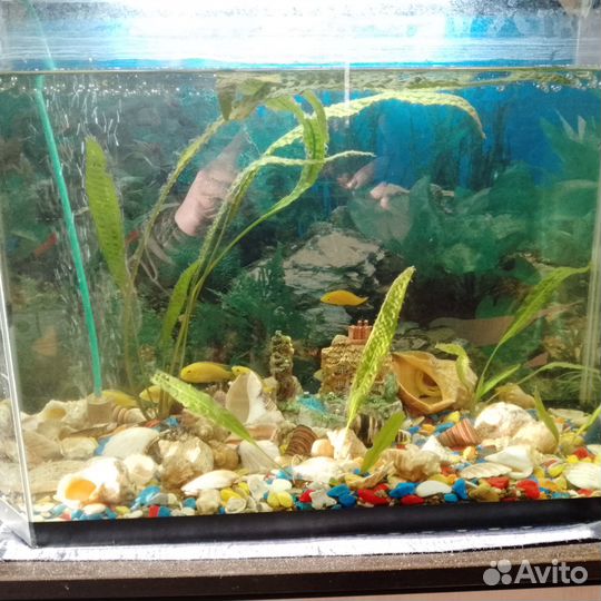 Аквариум