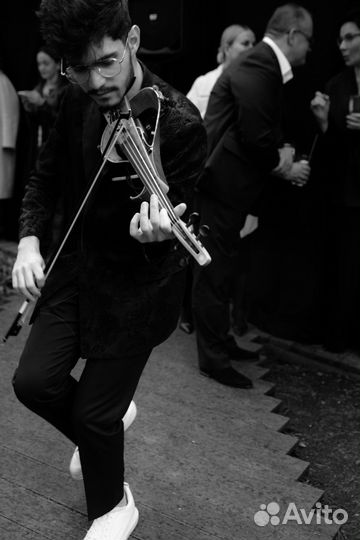 Скрипка на мероприятие