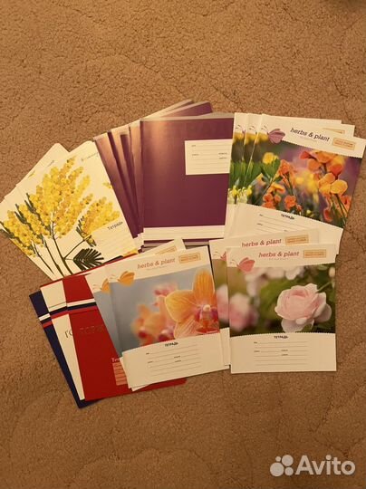 Тетради школьные в линейку