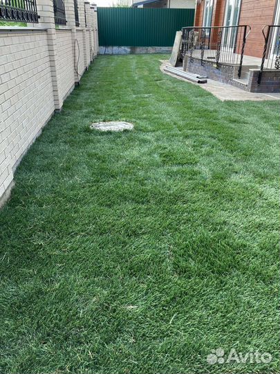 Рулонный газон продажа/укладка