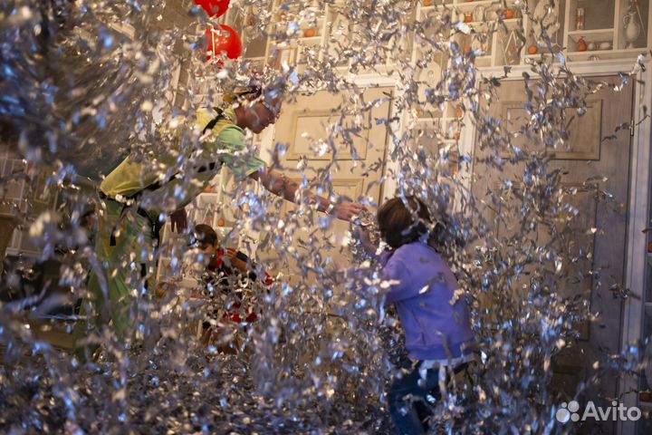 Детское шоу/праздник/день рождения