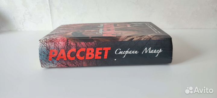 Стефани Майер 