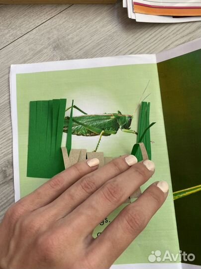 Набор для занятий с ребенком