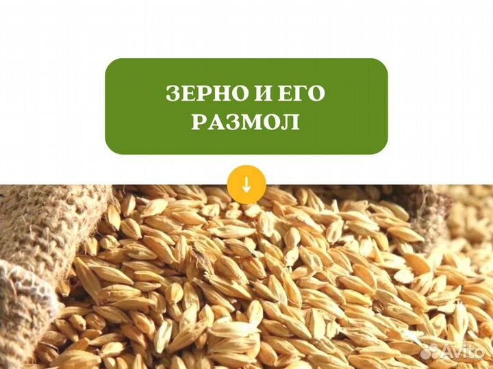 Пшеница Размол (кг)