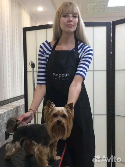 Стрижка кошек и собак, выезд по городу и краю