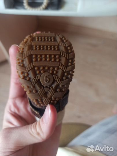 Обувь для собак