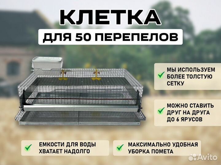 Клетка для перепелов на 50 голов