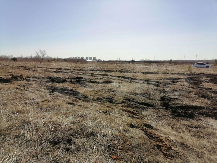 Участок 51 сот. (СНТ, ДНП)