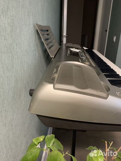 Синтезатор casio WK-3300