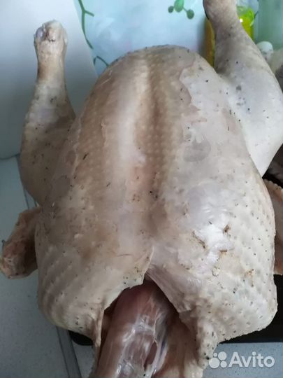 Мясо индейки домашней