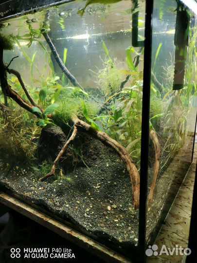 Готовые аквариумы