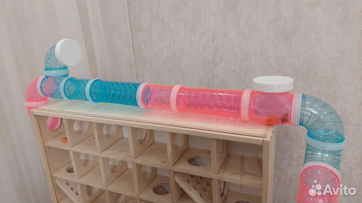 Огромный лабиринт для хомяка