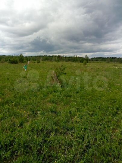 Участок 10 сот. (ИЖС)