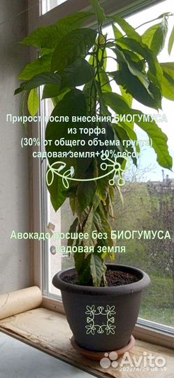 Биогумус от червей