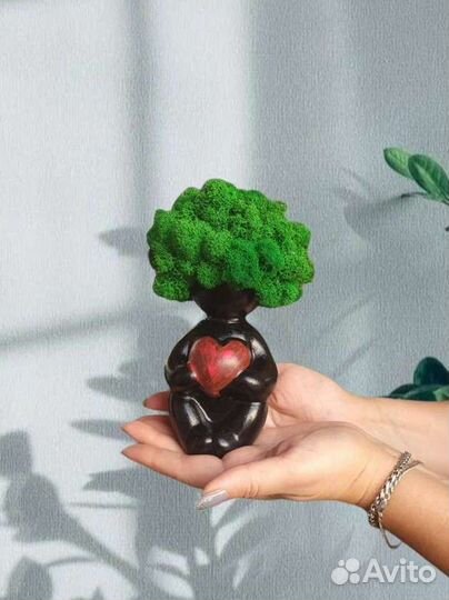 Стабилизированный мох - Экодизайн