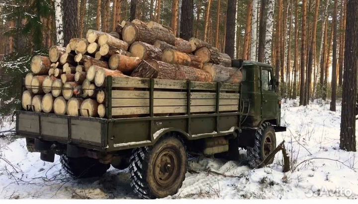 Дрова сухие. сосна, лествяк