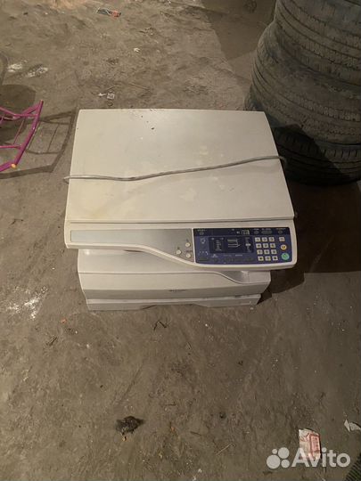 Принтер мфу а3 sharp