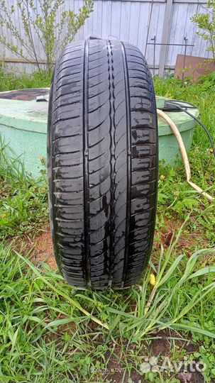 Pirelli P Zero Winter 195/65 R15 91L