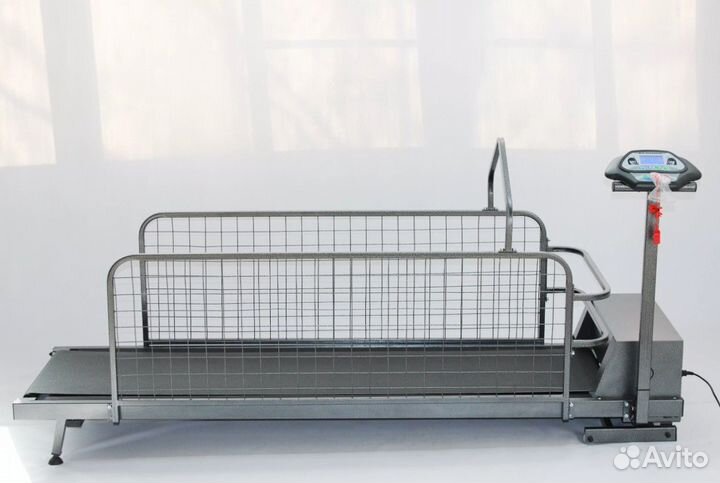 Беговая дорожка для собак